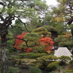 Ginka kuji at opening time. Darn it, how did that guy get in the photo?