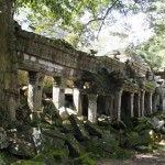 Them there trees play havoc with the stonework....