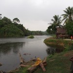 The Hotel Pool, complete with floating reed island wetbar