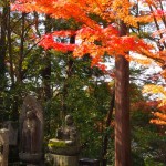 I've always loved these little graveside statues. Oh, and some foliage too!