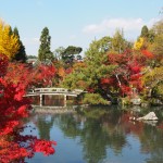 Bridge; check. Foliage; check. What could I possibly need...?