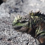 Rocking the algae on the face look