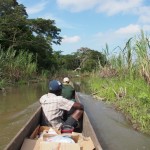 Winding our way through floating islands. Yes we did get stuck, though only once and it wasn't my fault