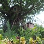 The tree house. Me Tarzan, you Lucy