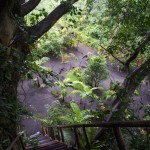 Going to the loo in the night in the rain was an interesting challenge that we tried to avoid