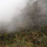 Inca ruin in the mist. Of course it's always in the mist, being located at about 4,000 metres. In a cloud forest
