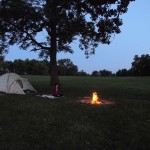 Beautiful Kentucky grasslands, complete with horses and marshmallows