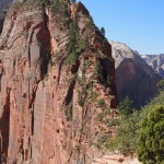 Zion. This is the Angels Landing path. No, seriously