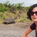 Sneaking up on a half slumbering giant tortoise takes skill you know