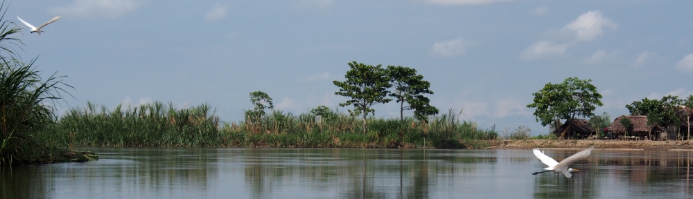 Another busy day on the Sepik River